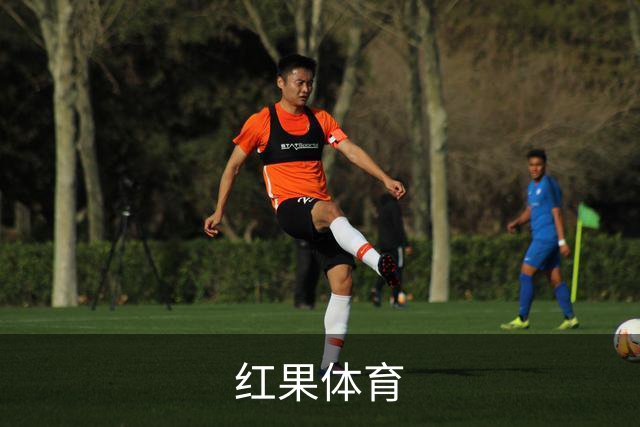 红果体育
